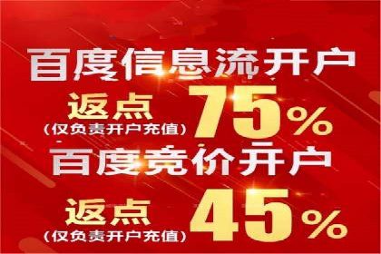 解析某某SEM服务公司如何通过数据分析优化广告效果